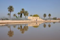 Il grande stagno, costruito per poter irrigare i giardini, è una delle caratterstiche più spettacolari dei Giardini Menara di Marrakech in Marocco - © Philip Lange / Shutterstock.com ...