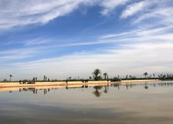 La posizione centrale e l'ingresso gratuito hanno reso molto popolari i Giardini Menara a Marrakech, frequentati sia dai turisti che dai locali - ©  irabel8 / Shuttersirabel8tock.com ...