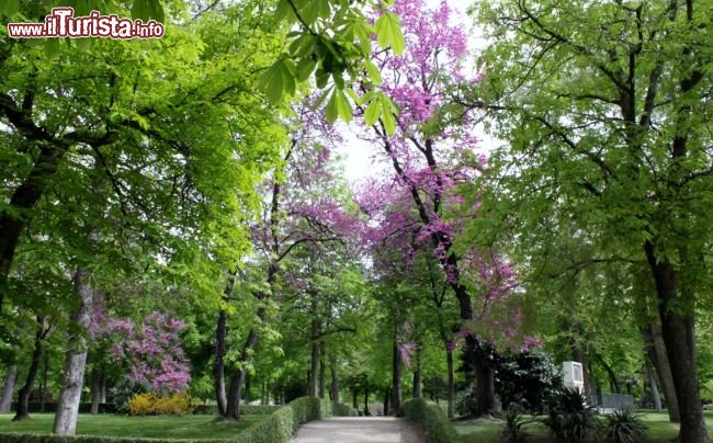 Parco del Buen Retiro