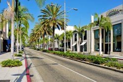 Una cornice di palme si snoda lungo la rodeo drive a Beverly Hills (California) - © nito / Shutterstock.com 