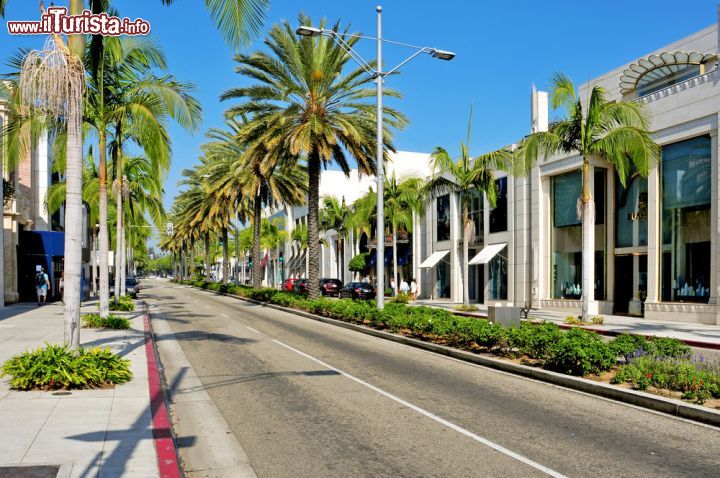 Immagine Una cornice di palme si snoda lungo la rodeo drive a Beverly Hills (California) - © nito / Shutterstock.com