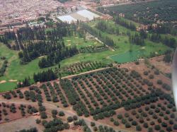 Vista aerea dei giardini agdal a Marrakesh: si estendo su di una superficie complessiva di 400 ettari