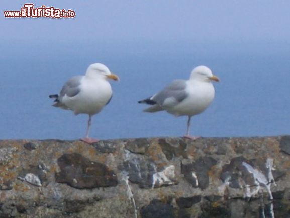 Le foto di cosa vedere e visitare a South East England