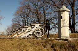 Guardia e batteria di cannoni al castello di Akershus ad Oslo - © Ingvar Tjostheim / Shutterstock.com