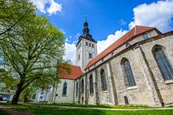 La storica Basilica di San Nicolò a Tallin fotografata in estate. Oggi non è più un luogo di culto ed è stata trasformata in un museo. Il Nikuliste museum ospita ...