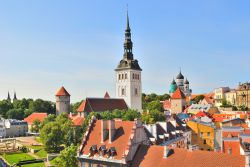 La Città vecchia di Tallin, con il tetto ed e campanile della Basilica San Nicola che si elevano sulle altre costruzioni del borgo - © Estea / Shutterstock.com