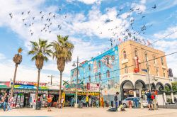 Ocean Front Walk, il celebre lungomare di Venice Beach, il sobborgo di Los Angeles - © View Apart / Shutterstock.com 