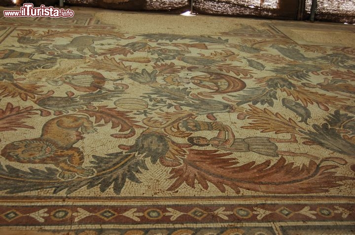 Immagine Basilica di Mosè: i mosaici