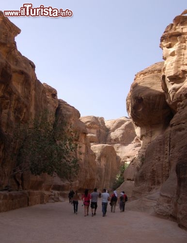 Immagine dentro al Sid di Petra