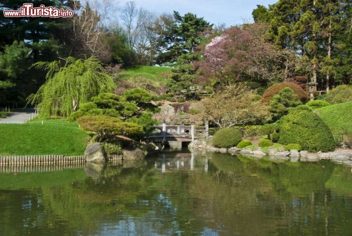 Immagine The New York Botanical Garden, patrimonio nazionale USA dal 1967, è uno dei primi giardini botanici degli Stati Uniti. Si trova nel quartiere del Bronx dove si estende per oltre 1 chilometro quadrato ospitando al suo interno più di 48 aree verdi e interessanti collezioni di piante. Si possono ammirare cactus del Texas, muschi della Siberia, giardini giapponesi e all'italiana, orchidee, ciliegi in fiore e centinaia di varietà di rose. Da non perdere la serra tropicale con le farfalle, il laboratorio per i bambini e il tour in trenino che accompagna alla scoperta degli angoli più suggestivi del giardino spiegandone, in inglese, storia e caratteristiche  - © keith telfeyan NYC & Company / nycgo.com