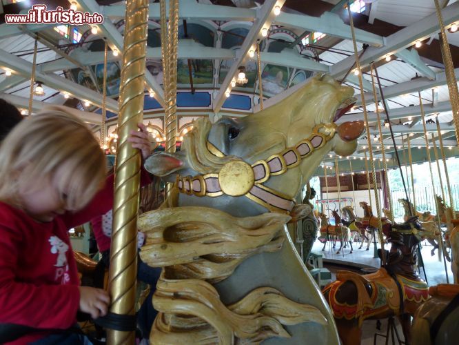 Immagine La giostra per i bambini, ospitata nel Park's Children's Corner di Prospect Park, è una delle attrazioni più popolari di quest'area pubblica. I suoi magnifici 53 cavalli galoppano a fianco di leoni, giraffe, cervi e carri trainati da draghi. Realizzata nel 1912 da Charles Carmel, uno dei più importanti designer di giostre del suo tempo, è stata restaurata nel 1990 dal Prospect Park Alliance