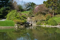 The New York Botanical Garden, patrimonio nazionale USA dal 1967, è uno dei primi giardini botanici degli Stati Uniti. Si trova nel quartiere del Bronx dove si estende per oltre 1 chilometro ...