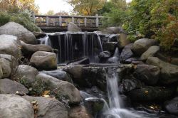 Cascate al Prospect Park di New York: questo giardino pubblico di 585 acri che si trova nel quartiere di Brooklyn è una delle aree verdi più frequentate da chi cerca un luogo immerso ...