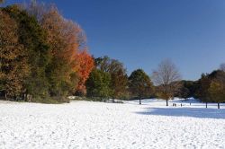 Neve a Prospect Park. Questo parco pubblico di New York, situato fra i vicini quartieri di Park Slope, Prospect Lefferts Gardens, Ditmas Park e Windsor Terrace a Brooklyn, accoglie ogni anno ...