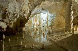 La celebre Sala delle candeline: è uno dei momenti più belli della visita alle Grotte di Frasassi Genga: le piccole stalattiti bianche appoggiano su degli anelli di roccia, che ...