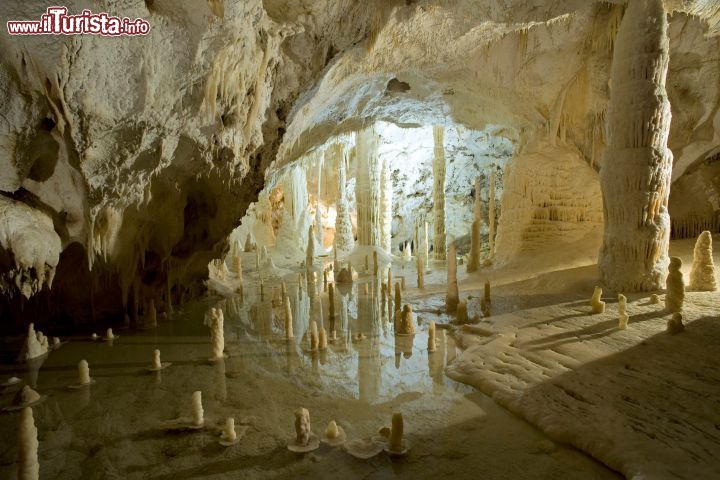 Immagine La celebre Sala delle candeline: è uno dei momenti più belli della visita alle Grotte di Frasassi Genga: le piccole stalattiti bianche appoggiano su degli anelli di roccia, che le fanno sembrare come delle piccole candele, ciascune sopra ad un piattino - © Frasassi.com