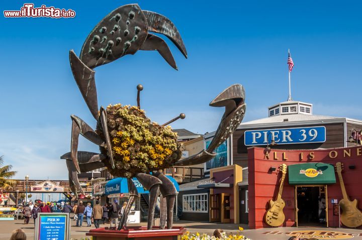 Immagine Il granchio è uno dei simboli di Pier 39 e di Fisherman's Wharf a San Francisco - © Jeff Whyte / Shutterstock.com