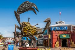 Il granchio è uno dei simboli di Pier 39 e di Fisherman's Wharf a San Francisco - © Jeff Whyte / Shutterstock.com 