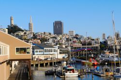 Uno scorcio tipico di San Francisco: la zona di Fisherman s Wharf una delle più caratterstiche della California - © Nfoto / Shutterstock.com