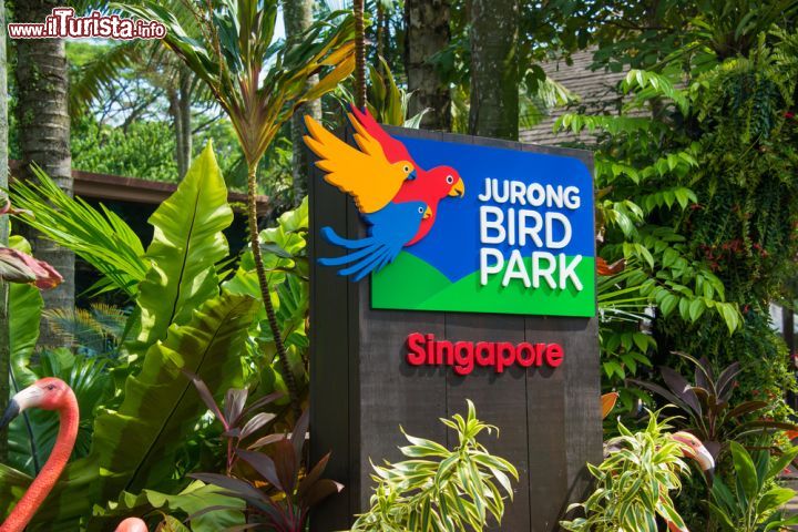 Immagine L'ingresso dello Jurong Bird Park a Singapore. Situato nella zona ovest della città, al civico 2 di Jurong Hill, questa riserva naturale è uno splendido parco di 20 ettari che offre rifugio a 5 mila uccelli di oltre 400 specie fra cui una cinquantina a rischio di estinzione. E' una delle attrazioni turistiche più visitate dai turisti, soprattutto i più giovani e gli appassionati di natura, che qui possono ammirare da vicino pennuti di ogni genere ad iniziare da coloratissimi pappagalli ara. Inaugurato nel 1971, lo Jurong Bird Park non solo è la prima area naturale di Singapore ma anche il più grande parco d'Asia dedicato agli uccelli - © Sonja Vietto Ramus