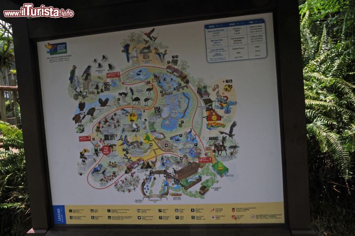 Immagine La mappa all'ingresso dello Jurong Bird Park: quest'ampia riserva naturale di 20 ettari permette di visitare voliere, passeggiare fra viali fioriti e alberati, assistere a spettacoli con protagonisti pappagalli, fenicotteri e falchi e ammirare da vicino specie in via di estinzione. Se poi la fatica comincia a farsi sentire si può salire a bordo del trenino che accompagna alla scoperta del parco: tre le fermate - Main Station, Lory Station e Waterfull Station - con ultima partenza alle ore 17.30 da Main Station - © Sonja Vietto Ramus