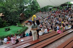 Uno splendido esemplare di pappagallo ara allo Jurong Bird Park di Singapore: durante gli spettacoli giornalieri interagiscono con il pubblico presente nell'arena attraversando in volo i ...