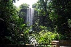 La bella cascata della Waterfull Aviary: il suo salto di 30 metri rende ancora più suggestivo lo scenario di quest'area immersa in una natura fitta e riglogliosa - © Sonja Vietto ...