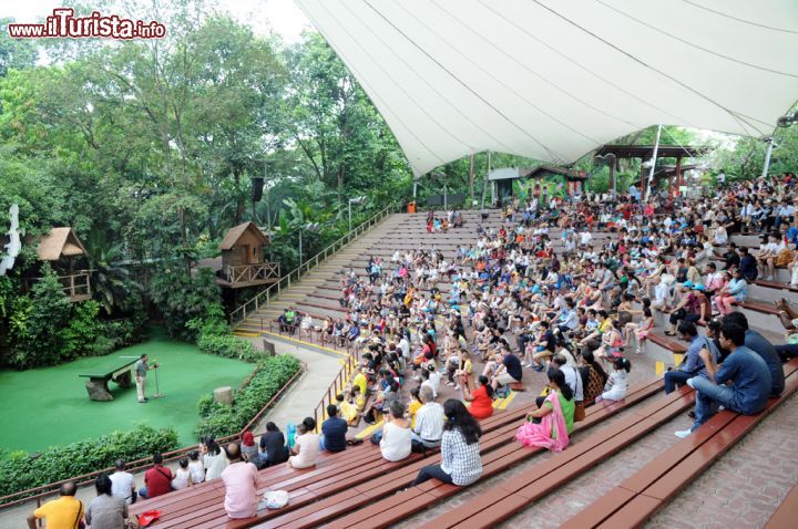 Immagine Il Pools Amphitheatre dello Jurong Bird Park ospita ogni giorno, alle ore 11 e alle 15, uno dei più suggestivi spettacoli offerti ai visitatori della riserva con protagonisti gli amici pennuti. "High Flyers Show", questo il nome dell'esibizione, vede pappagalli, fenicotteri e altre specie di uccelli interagire con il pubblico seduto sugli spalti dell'anfiteatro. Il divertimento è assicurato per i giovani turisti che a fine spettacolo possono anche fotografare e farsi fotografare con le guest stars dello show - © Sonja Vietto Ramus