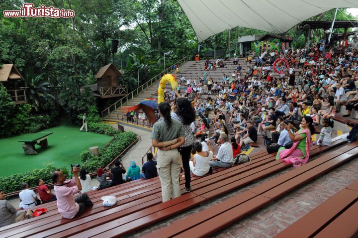 Immagine Uno splendido esemplare di pappagallo ara allo Jurong Bird Park di Singapore: durante gli spettacoli giornalieri interagiscono con il pubblico presente nell'arena attraversando in volo i cerchi colorati sorretti dai turisti, sempre sotto la vigile assistenza del personale del parco - © Sonja Vietto Ramus