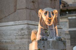 La Fontana del Leone si trova in Piazza del Popolo a Roma  © Stefano Carocci Ph / Shutterstock.com