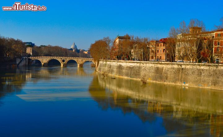 Immagine Fiume Tevere e rione Trastevere a Roma - © orangecrush / Shutterstock.com