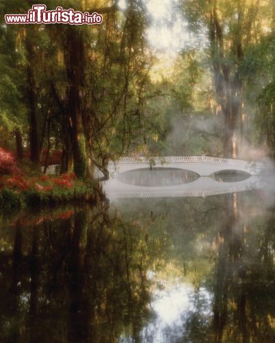 Immagine Una suggestiva alba presso la Magnolia Plantation, nella zona nord-occidentale di Charleston, South Carolina. L'ingresso al parco è a pagamento.