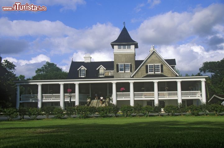Immagine Il Magnolia Plantation and Gardens, è il più antico giardino pubblico di tutti gli Stati Uniti. Alcune sue sezioni risalgono addirittura al XVII secolo - foto © Joseph Sohm / Shutterstock.com