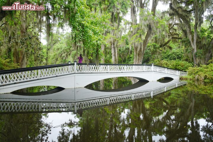 Immagine La città di Charleston, nel South Carolina, gode di un clima eccezionale che esalta la natura e che permette a luoghi come la Magnolia Plantation di essere così affascinanti - foto © saraporn / Shutterstock.com