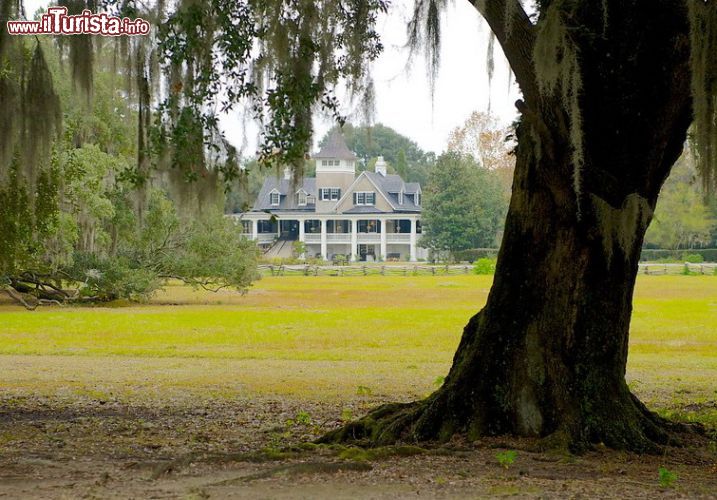 Immagine Una foto scattata all'interno del parco "Magnolia Plantation and Gardens", nei pressi della città di Charleston, nella Carolina del Sud.