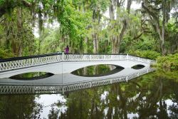 La città di Charleston, nel South Carolina, gode di un clima eccezionale che esalta la natura e che permette a luoghi come la Magnolia Plantation di essere così affascinanti - ...