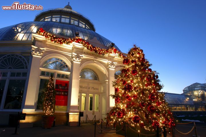 Immagine Festeggiamenti natalizi all'Enid A.Haupt Conservatory del New York Botanical Garden. Questa grande serra in stile vittoriano ospita collezioni di piante provenienti da tutto il mondo: palme, piante acquatiche e carnivore, esemplari di catus da deserto e da foresta pluviale tropicale. I visitatori possono anche ammirare mostre stagionali nel giardino fra cui l'annuale Orchid Show e Holiday Train Show oltre a spettacoli a tema floreale che rivelano sorprendenti connessioni fra natura e cultura - © LEE SNIDER PHOTO IMAGES / Shutterstock.com