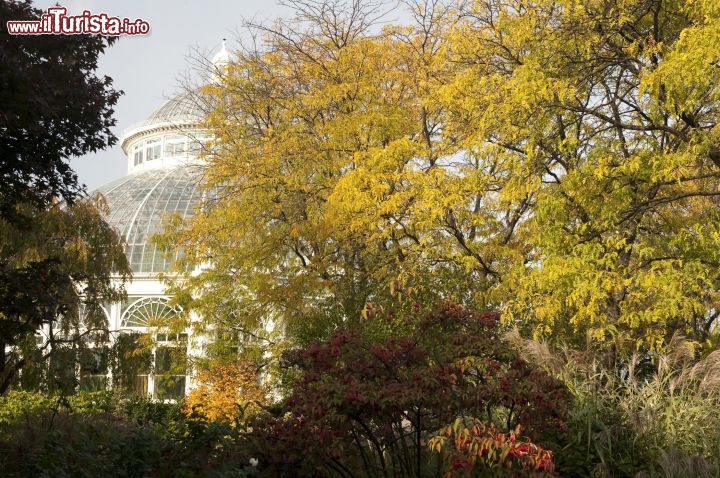 Immagine Esterno della Conservatory and Orchid Rotunda al Botanical Garden di New York, oasi verde fondata nel 1891: sui suoi 250 acri di terreno ospita milioni di piante oltre a una variegata vegetazione tropicale, temperata e desertica che la rendono una vera e propria istituzione per gli amanti della natura