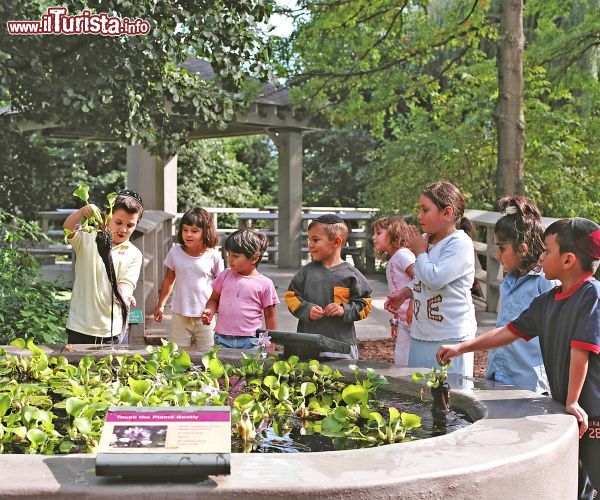 Immagine Bambini all'Everett Childrens Adventure Garden di New York. Stelle filanti colorate davanti al cancello accolgono in quest'area giochi ospitata al 2900 di Southern Boulevard, nel Bronx, i visitatori di tutte le età accompagnandoli alla scoperta delle meraviglie di scienza e natura.