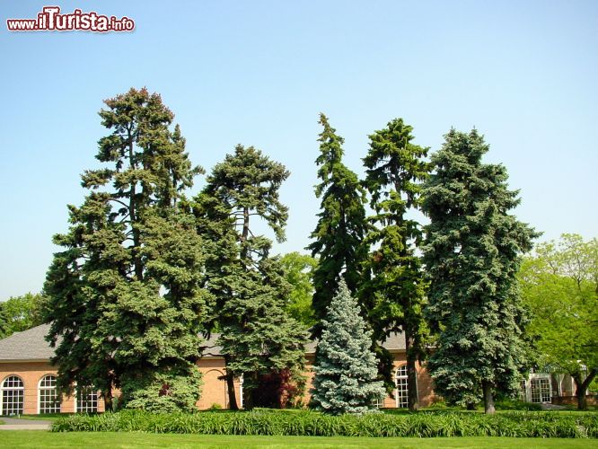 Immagine Il New York Botanical Garden, monumento storico nazionale che ogni anno accoglie poco meno di un milione di visitatori che vi si recano per ammirarne la straordinaria varietà floreale.