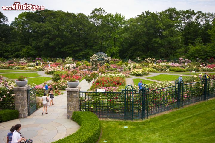 Immagine Veduta panoramica sul Peggy Rockefeller Rose Garden al New York Botanical Garden. Fondato nel 1891, il NYBG è uno dei primi giardini degli Stati Uniti - © littleny / Shutterstock.com