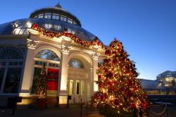 Festeggiamenti natalizi all'Enid A.Haupt Conservatory del New York Botanical Garden. Questa grande serra in stile vittoriano ospita collezioni di piante provenienti da tutto il mondo: palme, ...