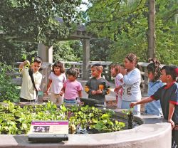 Bambini all'Everett Childrens Adventure Garden di New York. Stelle filanti colorate davanti al cancello accolgono in quest'area giochi ospitata al 2900 di Southern Boulevard, nel Bronx, ...