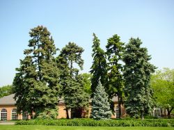 Il New York Botanical Garden, monumento storico nazionale che ogni anno accoglie poco meno di un milione di visitatori che vi si recano per ammirarne la straordinaria varietà floreale.
 ...