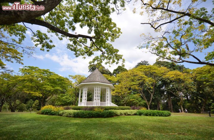 Immagine I Giardini Botanici di Singapore - Un tour alla scoperta di questa città stato "figlia dell'Asia" comprende inevitabilmente una visita ai Botanic Gardens dove il mondo sembrerà trasformarsi in un paradiso di verde e di tranquillità © Tang Yan Song / Shutterstock.com