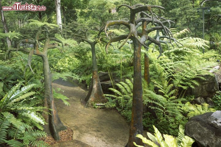 Immagine Paesaggio tropicale nei Botanic Gardens di Singapore - Vi sono ospitate 314 specie di cui più della metà oggi considerata rara a Singapore. Basta percorrere una passarella per rifugiarsi in questo suggestivo tratto di foresta, precedente all'istituzione dei giardini botanici © YuryZap / Shutterstock.com