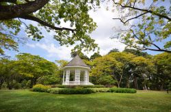 I Giardini Botanici di Singapore - Un tour alla scoperta di questa città stato "figlia dell'Asia" comprende inevitabilmente una visita ai Botanic Gardens dove il mondo sembrerà ...