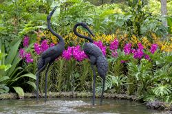 Scultura nei Botanic Gardens di Singapore - Questo splendido giardino dell'Eden di Singapore è un ottimo antidoto alla frenesia della metropoli. Al suo interno ospita eleganti laghetti, ...