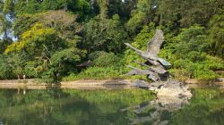Swan Lake e scultura ai Botanic Gardens di Singapore - Un pizzico di romanticismo? Non perdete lo Swan Lake: nelle acque di questo lago dei Botanic Gardens si trova una minuscola isola ricoperta ...