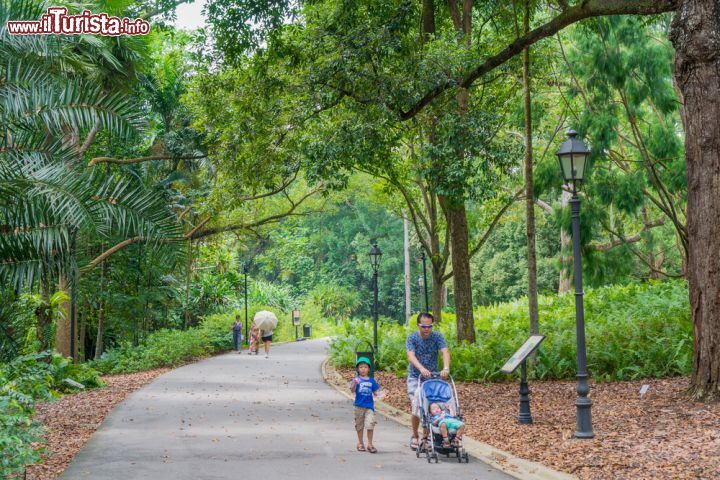 Immagine Singapore Botanic Gardens - Aperti tutto l'anno questi splendidi giardini nel cuore della città sono una delle attrazioni naturalistiche più visitate sia dagli abitanti di Singapore che dai turisti che sempre più numerosi si recano in visita in questo paese © Asif Islam / Shutterstock.com